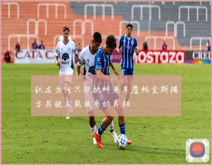 狄龙为何只敢挑衅老年詹帕金斯揭示其被灰熊放弃的真相